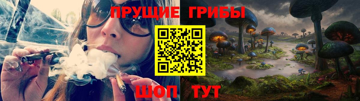 Галлюциногенные грибы GOLDEN TEACHER  Вход с VPN  Баксан 